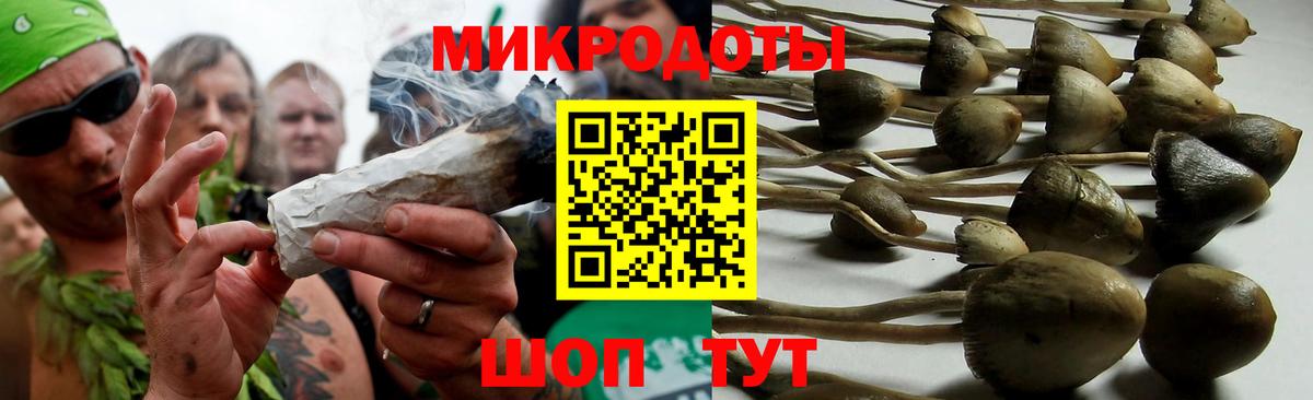 Тимашёвск  Псилоцибиновые грибы GOLDEN TEACHER  Вход с VPN 